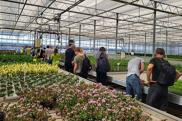 Plusieurs personnes se tiennent entre des tables de plantes et examinent des plantes en pot.